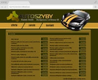 Bydgoszcz Windshield Repair - Replacement Repair Foiling