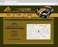 Bydgoszcz Windshield Repair - Replacement Repair Foiling