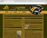 Bydgoszcz Windshield Repair - Replacement Repair Foiling