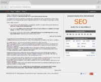 Monitor phrases in the SEO positioning process