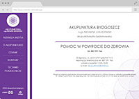 creation of the bydgoszcz website