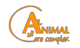 Wide range of veterinary services in the field of: prevention, diagnostics, surgery...
