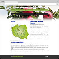 Web Design Bromberg