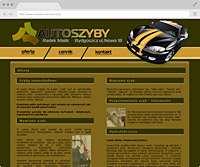 creation of the bydgoszcz website