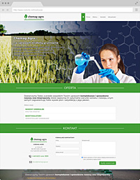 Web Design Bromberg