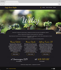 website design