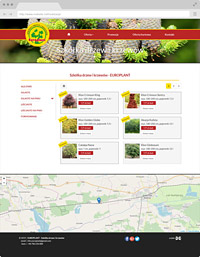 creation of the bydgoszcz website