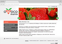 web design bydgoszcz