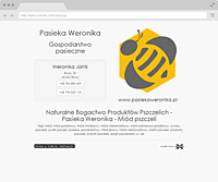 creation of the bydgoszcz website