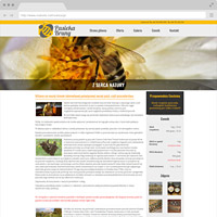 Web Design Bromberg