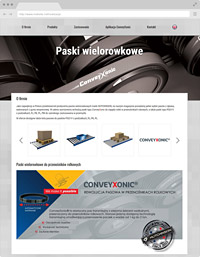 creation of the bydgoszcz website